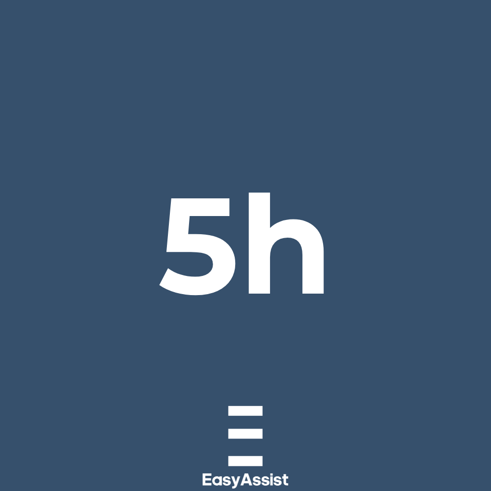 Light Package – 5 hours of assistance for occasional tasks